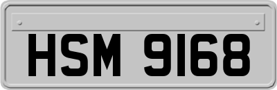 HSM9168