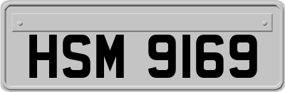 HSM9169