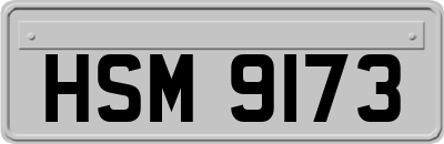 HSM9173