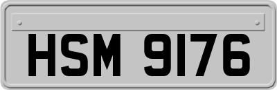 HSM9176