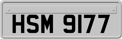 HSM9177