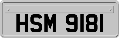 HSM9181