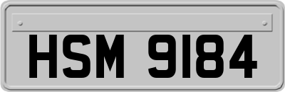 HSM9184