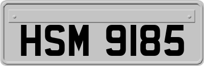 HSM9185