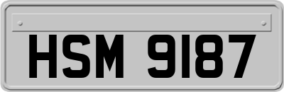HSM9187