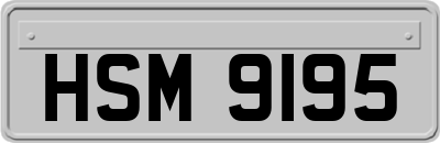 HSM9195