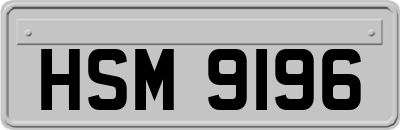 HSM9196
