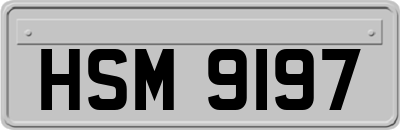 HSM9197