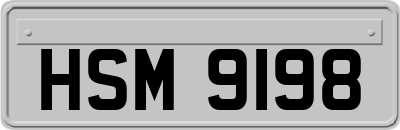 HSM9198