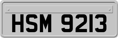 HSM9213