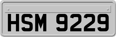 HSM9229