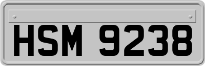 HSM9238