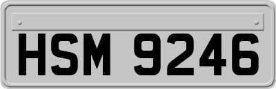 HSM9246