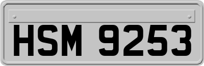 HSM9253