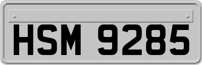 HSM9285
