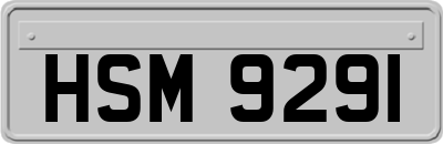HSM9291