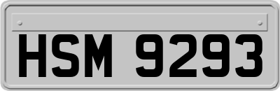 HSM9293