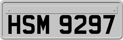 HSM9297