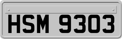 HSM9303