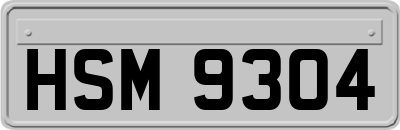 HSM9304