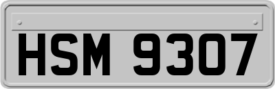 HSM9307
