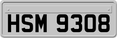 HSM9308