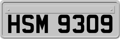 HSM9309