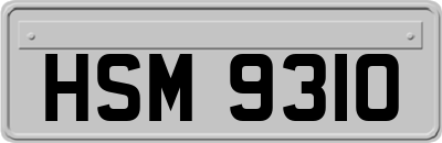 HSM9310