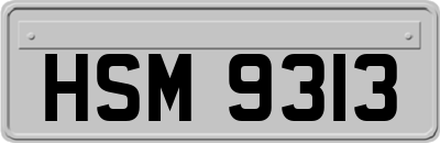 HSM9313