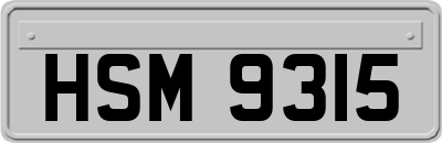HSM9315