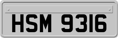 HSM9316