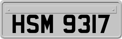 HSM9317