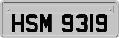 HSM9319