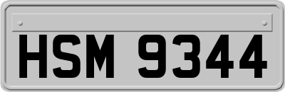 HSM9344