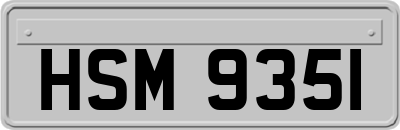HSM9351