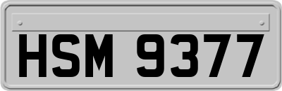 HSM9377
