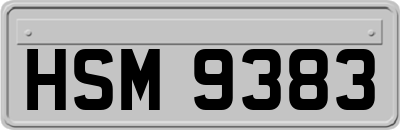 HSM9383