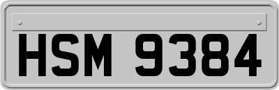 HSM9384