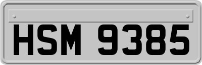 HSM9385