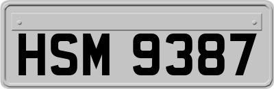 HSM9387