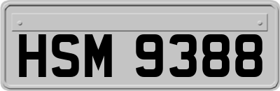 HSM9388