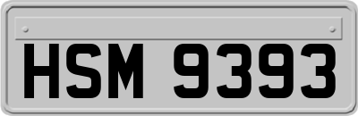 HSM9393