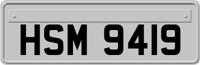 HSM9419