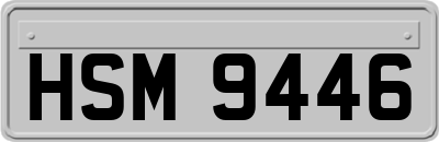 HSM9446