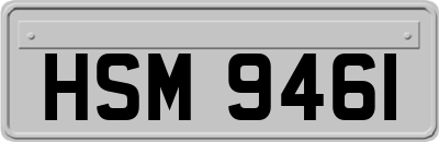 HSM9461