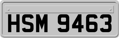 HSM9463