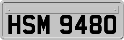 HSM9480