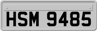 HSM9485