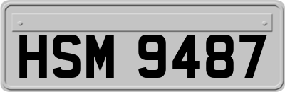 HSM9487