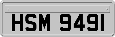 HSM9491